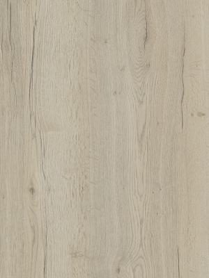 京時系統居家櫥櫃設計 EGGER H1176 ST37 (哈利法克斯白橡木 ) custom text
